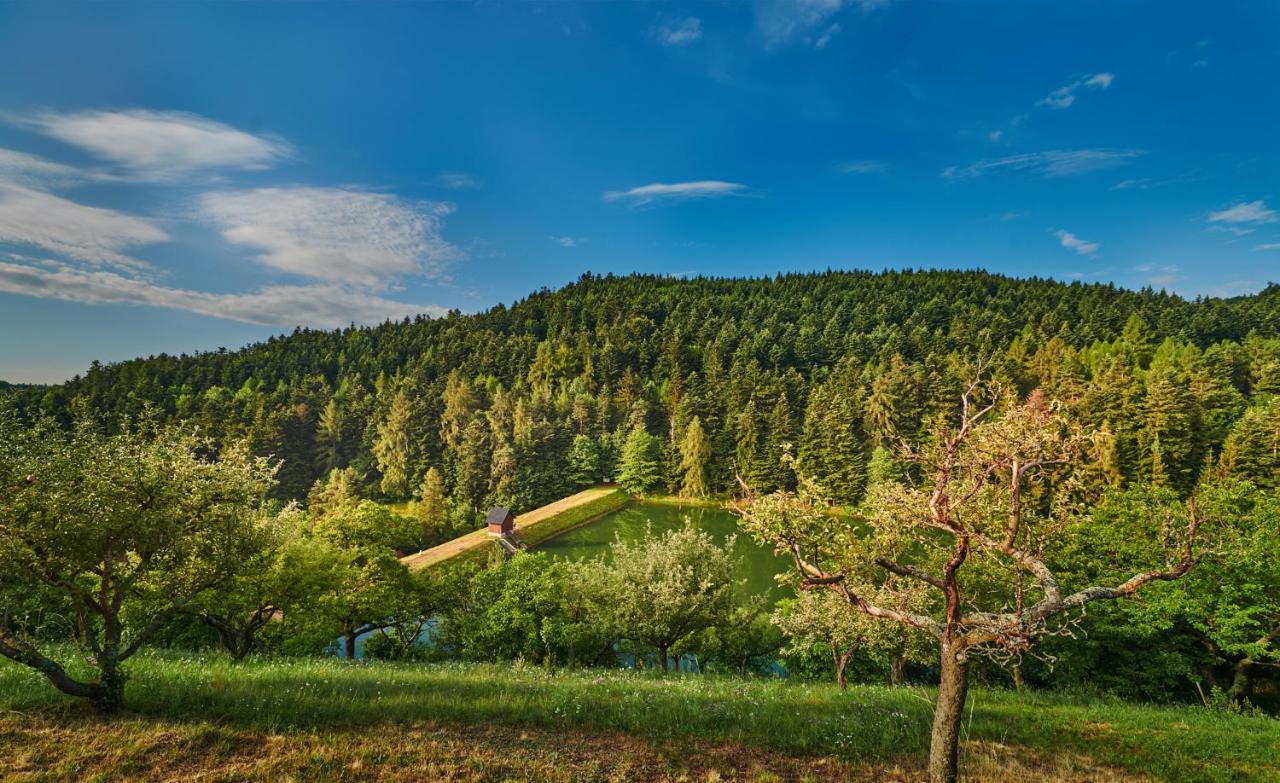 Banská Štiavnica Sad Nad Klingerom 게스트하우스 외부 사진